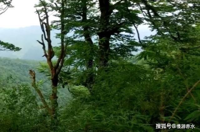 燃烧吧大脑装瓶子游戏