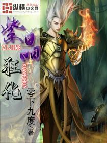 春运开启 今年有“安全精灵” 记得开启导航